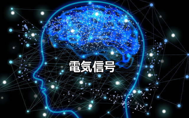 電気信号