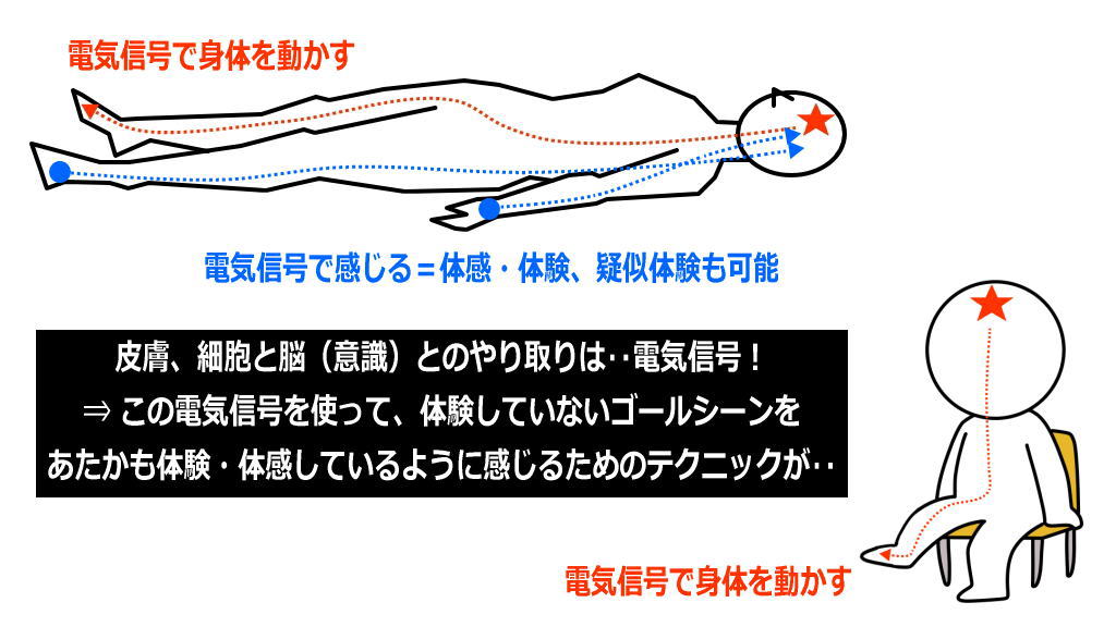 電気信号イメージングの体感のイメージ画像