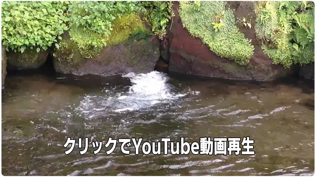 宮崎県小林市出の山湧水イメージ画像